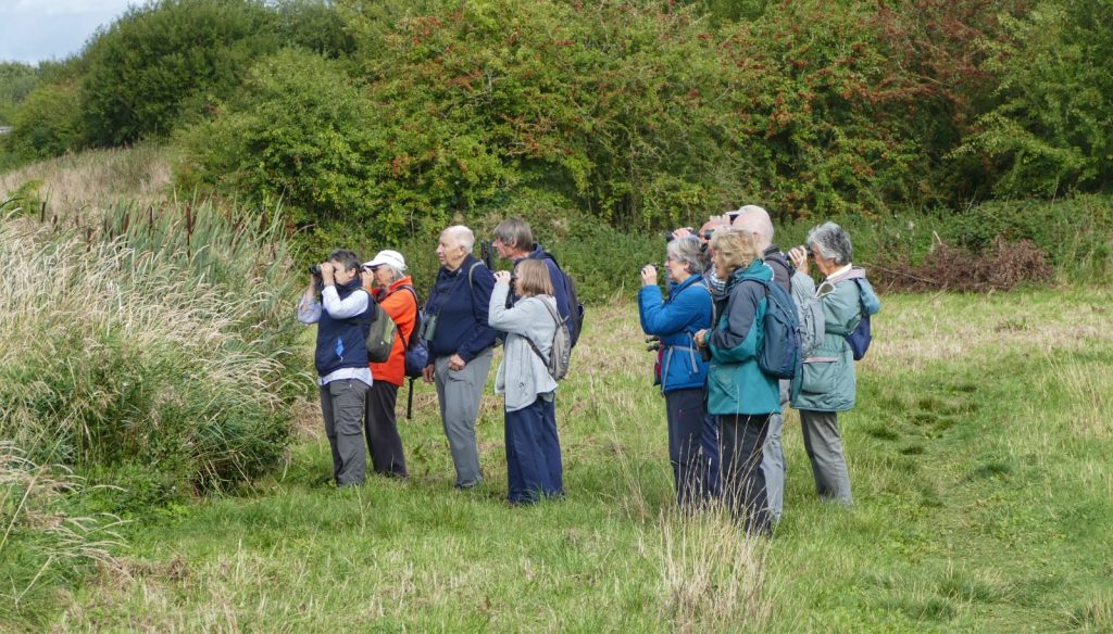 members searching with binoculars