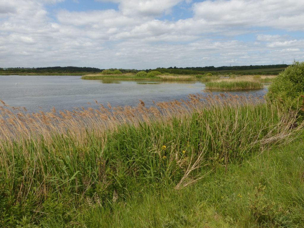 St Aidan’s RSPB reserve – Chris Byrne