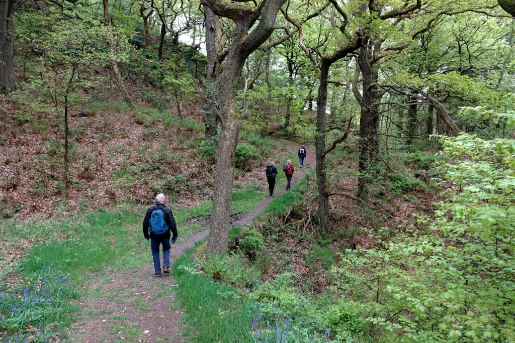 Coombes Valley woodland – Martyn Grandy