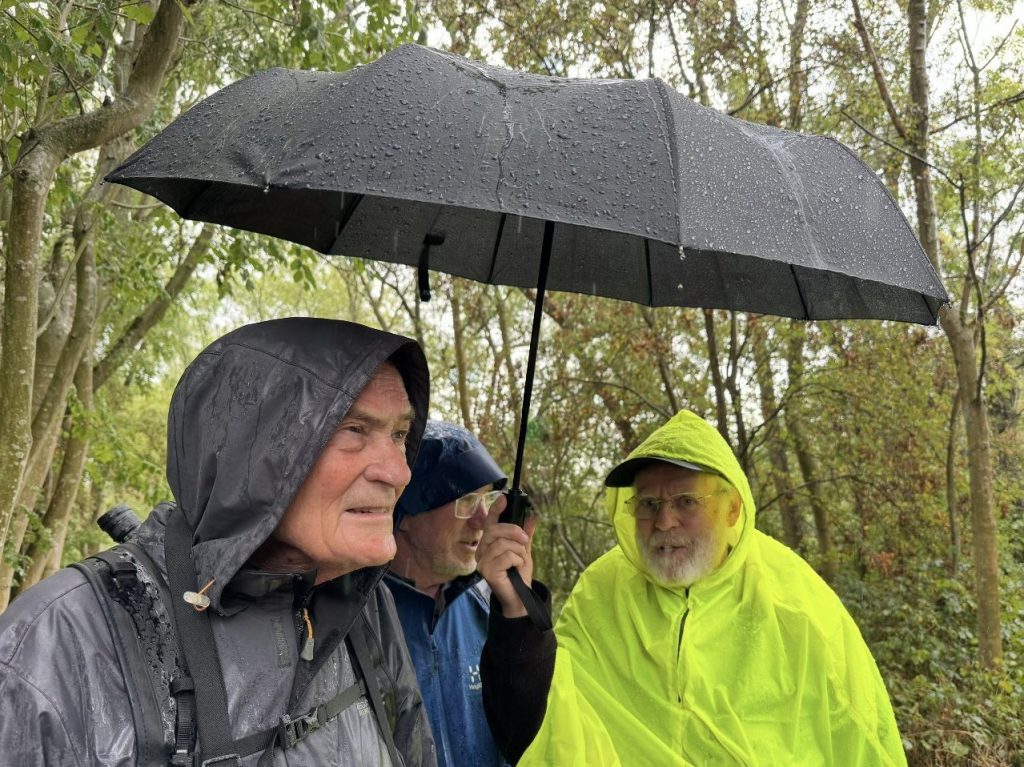Wettenborough Weatherfoul! – Beverley Howson