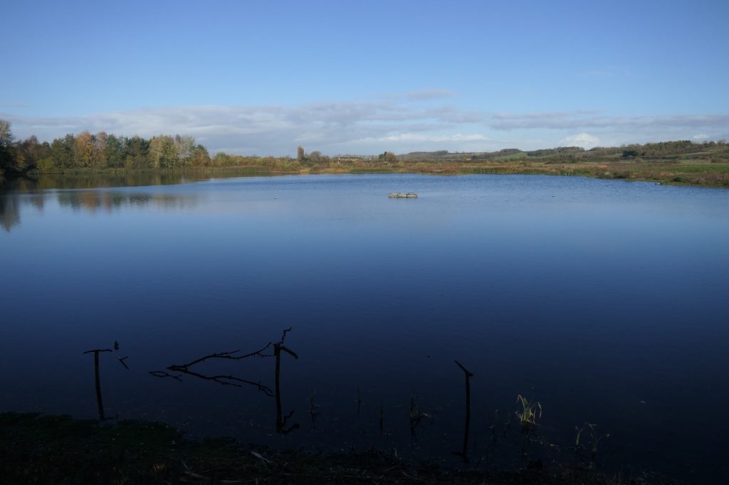 Main Lake from South Hide – Chris Byrne